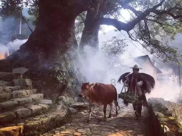 新加坡偶遇张雨绮,她对工作人员说“挡到了”怕路人拍不到她全身